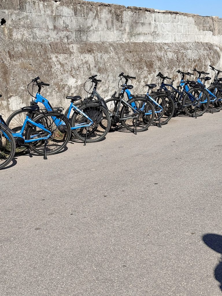A row of blue and black bicycles is parked along a concrete wall on a paved surface under sunlight.