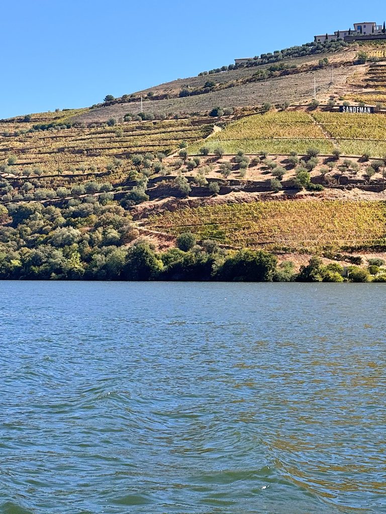 Vineyard-covered hillside with terraced rows above a river under a clear blue sky; a "Sandeman" sign is visible on the slope.