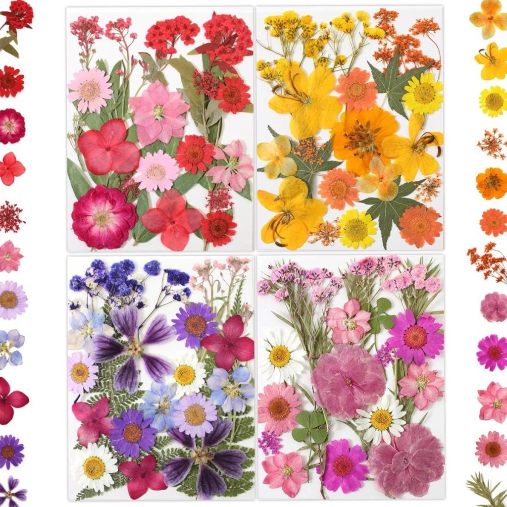 Four square sections display pressed flowers sorted by color—red, yellow, purple, and pink—resembling delicate glass ornaments, with similar blooms arranged vertically along the sides on a white background.