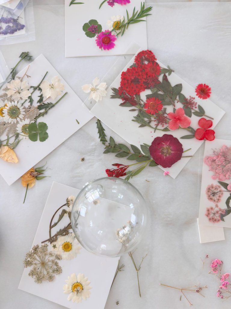 Pressed flowers arranged on several sheets of white paper with a clear glass bowl placed on top, displayed on a light surface.