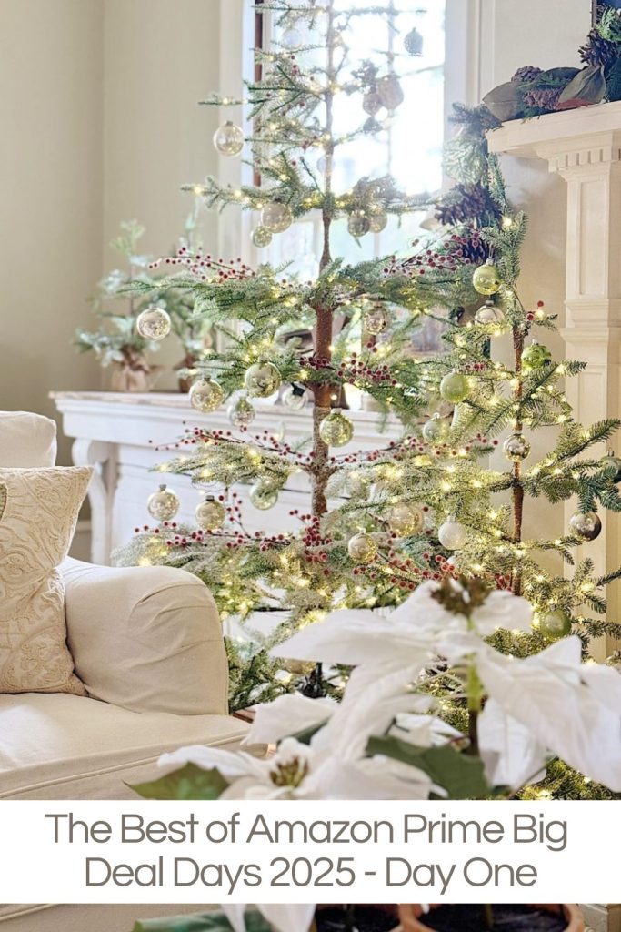 A decorated Christmas tree with lights and ornaments stands beside a white sofa in a bright living room; text reads "The Best of Amazon Prime Big Deal Days 2025 - Day One.