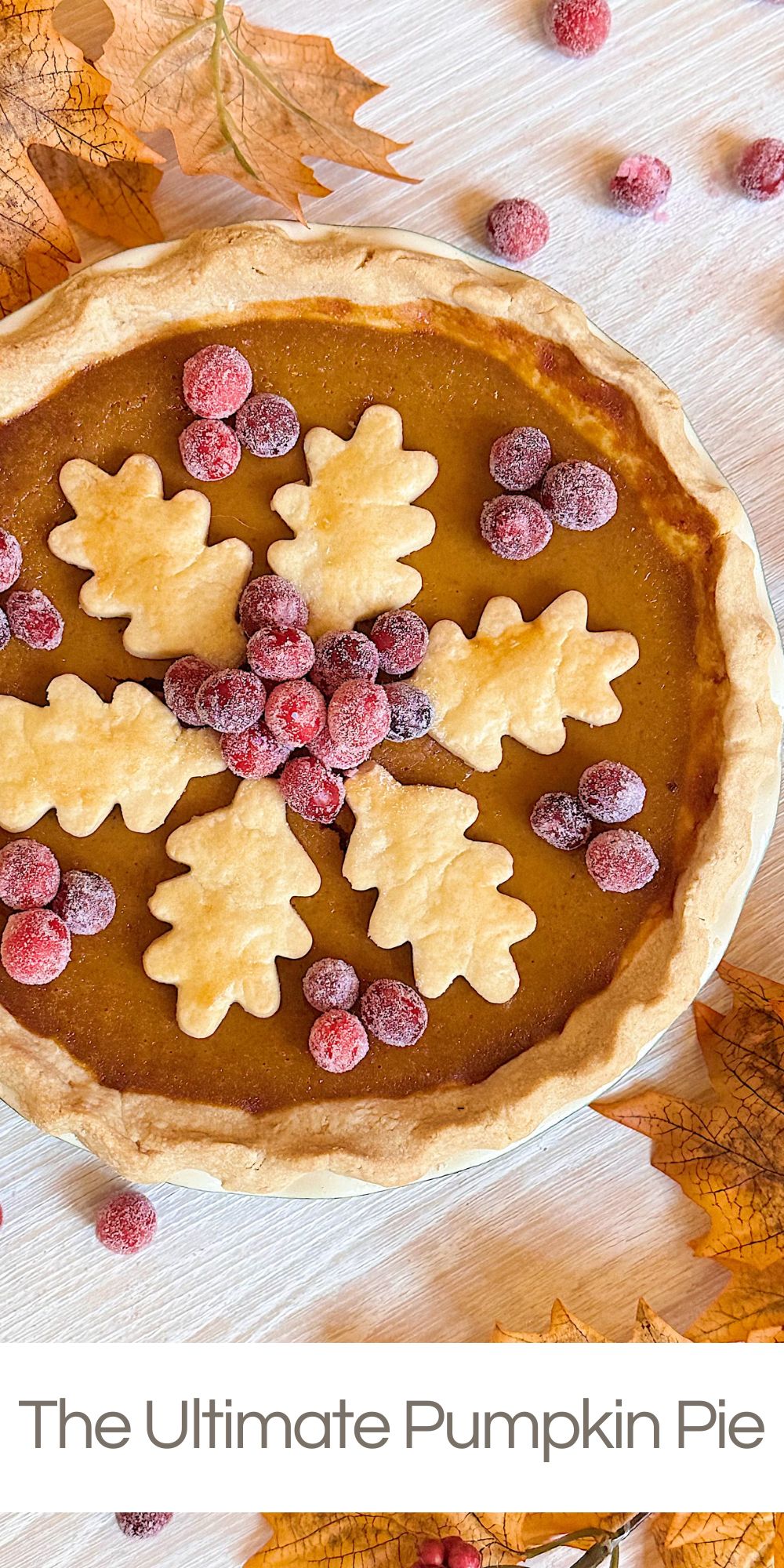 Every Thanksgiving, I try to make at least one dessert that feels extra special, and this year it’s this Ultimate Pumpkin Pie with a Flaky Butter Crust.