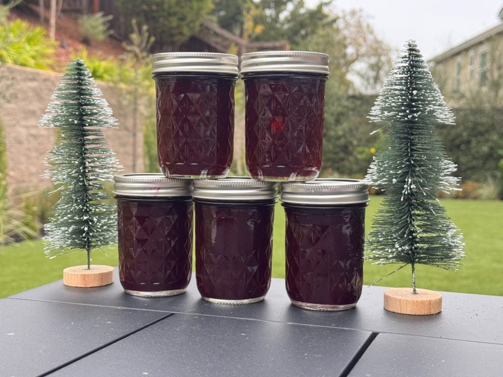 Five jars of dark red jam are stacked on an outdoor table between two small artificial evergreen trees, with a garden visible in the background.
