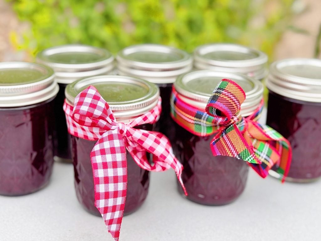 Several jars filled with dark red preserves, each sealed with a metal lid; two jars are decorated with checkered and plaid ribbon bows.