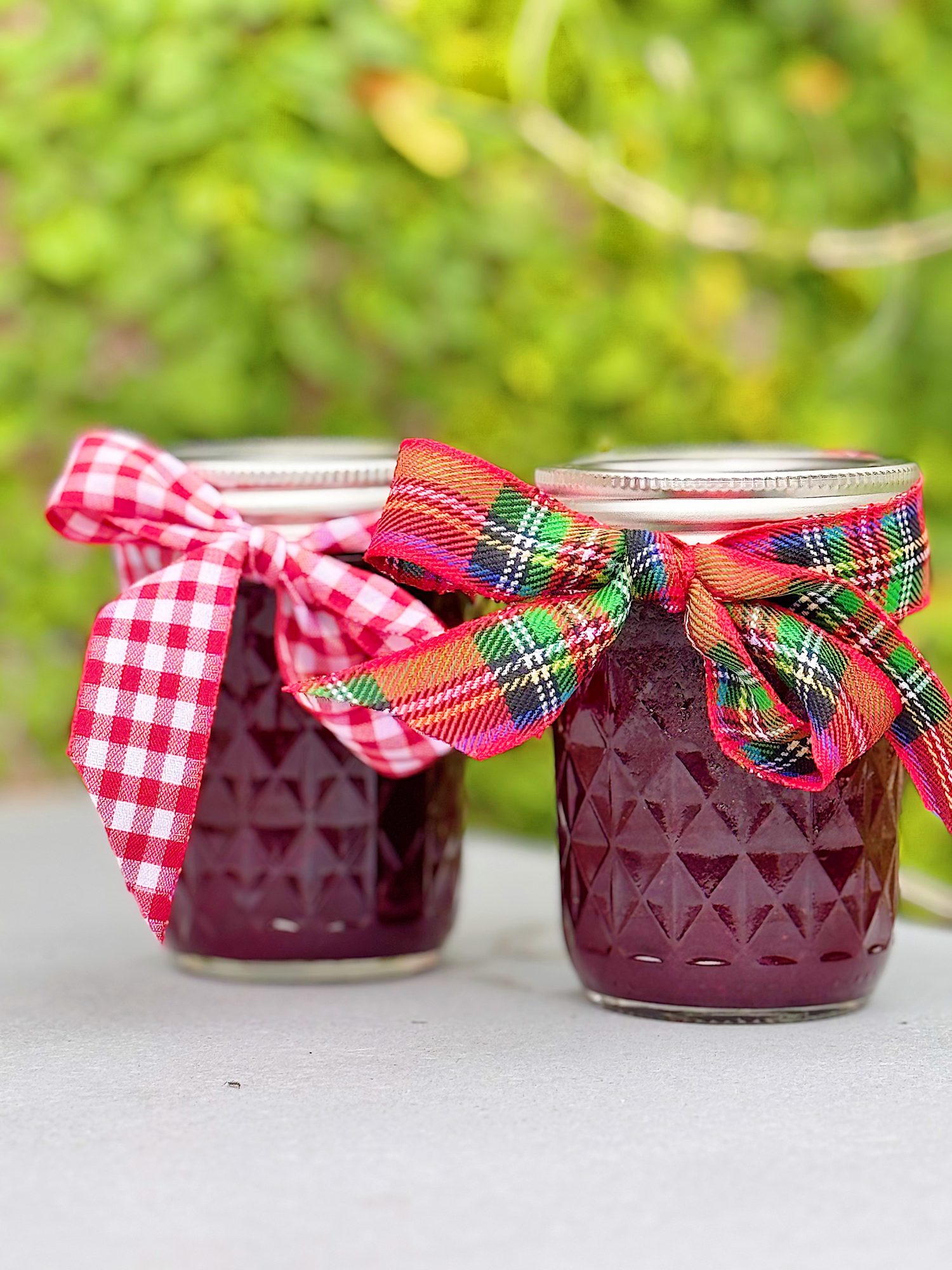 Two jars of dark purple jam with metal lids, each decorated with a colorful ribbon, one red gingham and one red tartan, set against a blurred green background.