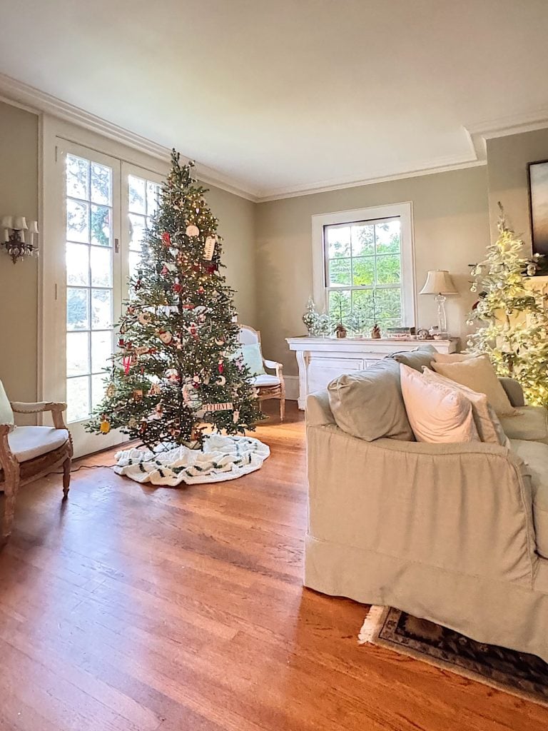 A decorated Christmas tree stands in a bright, cozy living room with wood floors, light-colored furniture, and large windows.