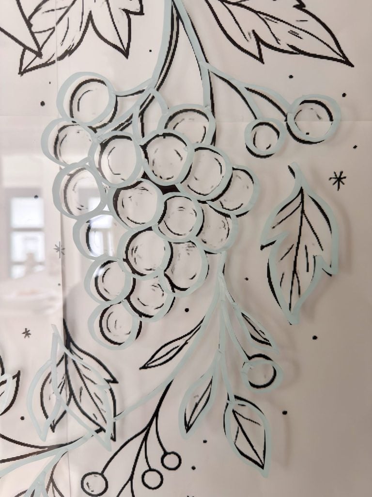 A line drawing of a grapevine with grapes and leaves is displayed on a transparent surface, with a blurred indoor background.