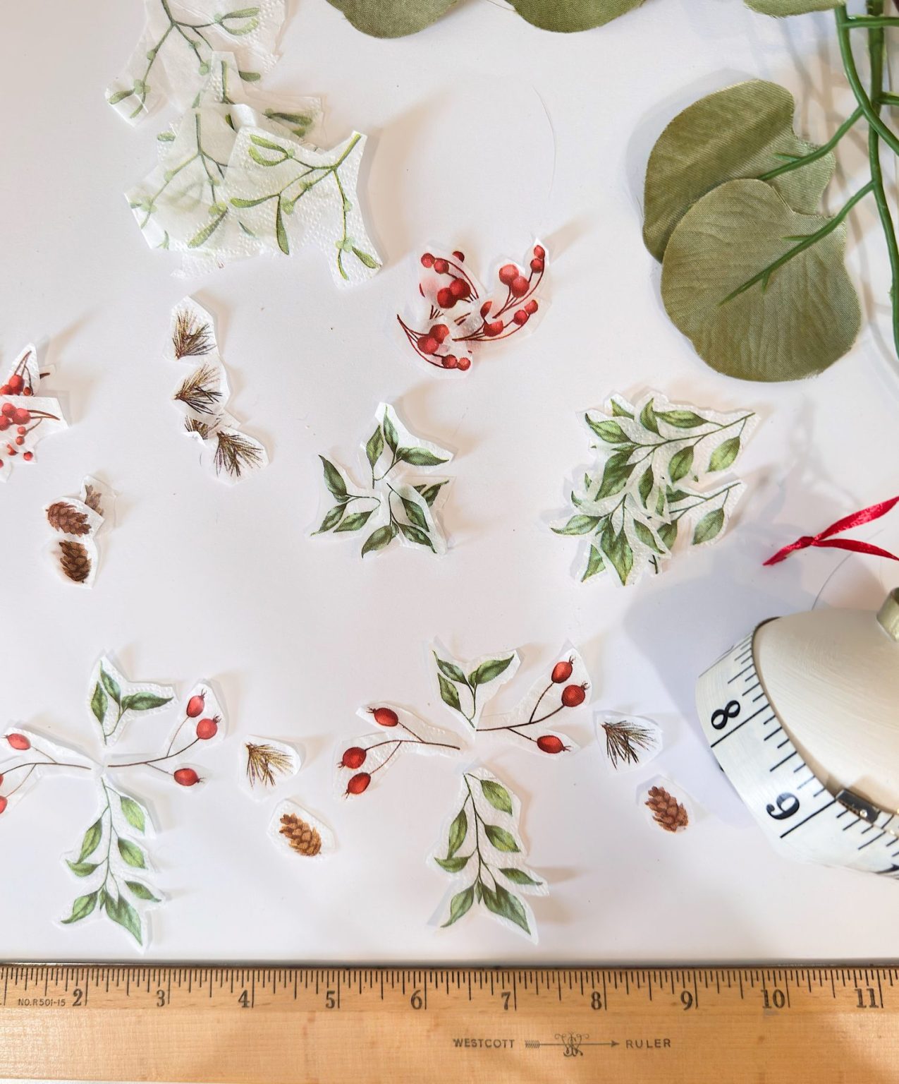 Paper cutouts of botanical illustrations, including leaves, berries, and pinecones, are spread on a white surface with a ruler and measuring tape nearby.