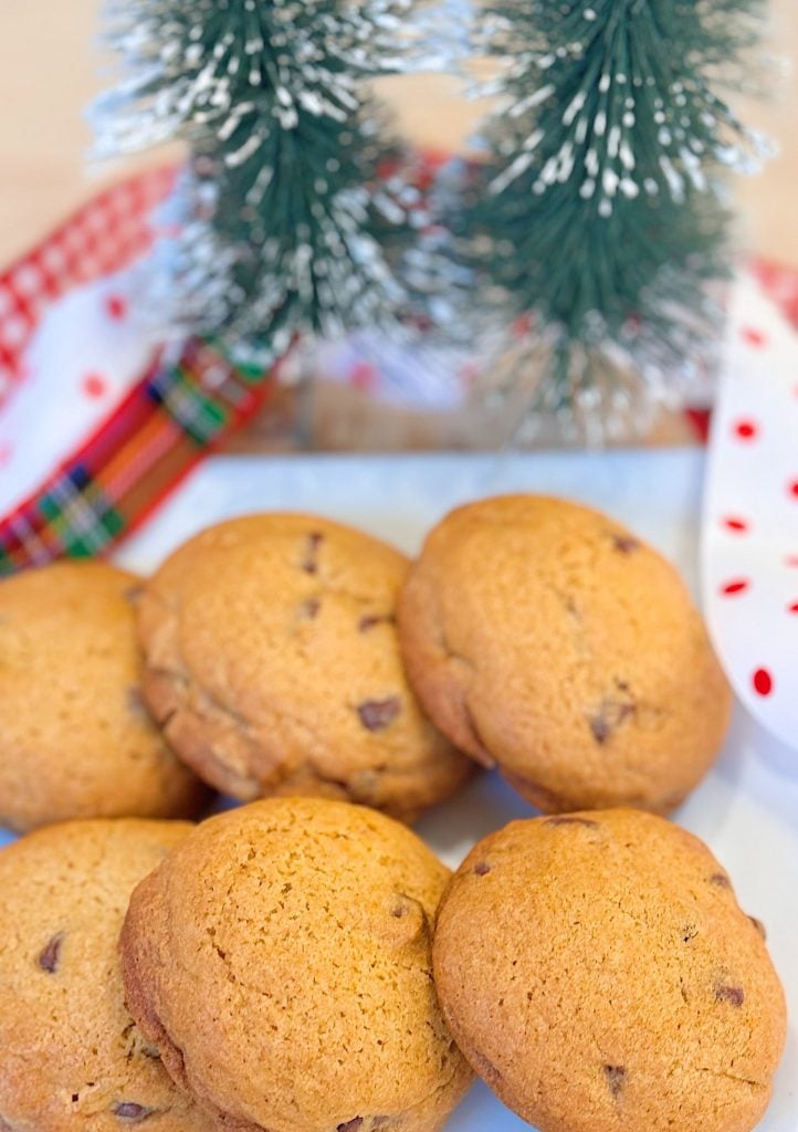 A plate of chocolate chip cookies is displayed in front of two small artificial pine trees and a festive ribbon.
