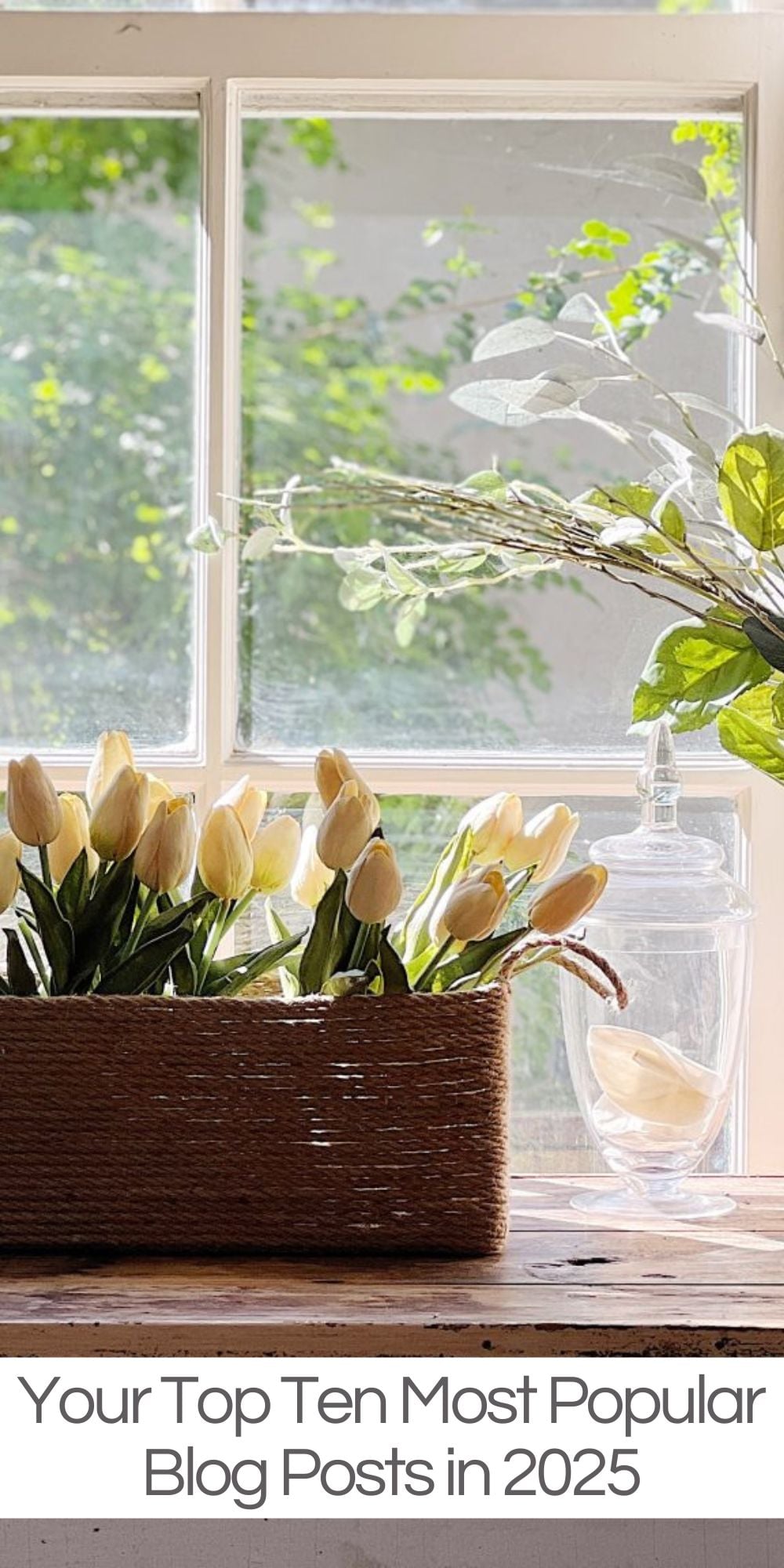 All of you chose My Top Ten Blog Posts in 2025! Revisiting my most popular blog posts this year was a fun experience, and there were some surprises along the way.