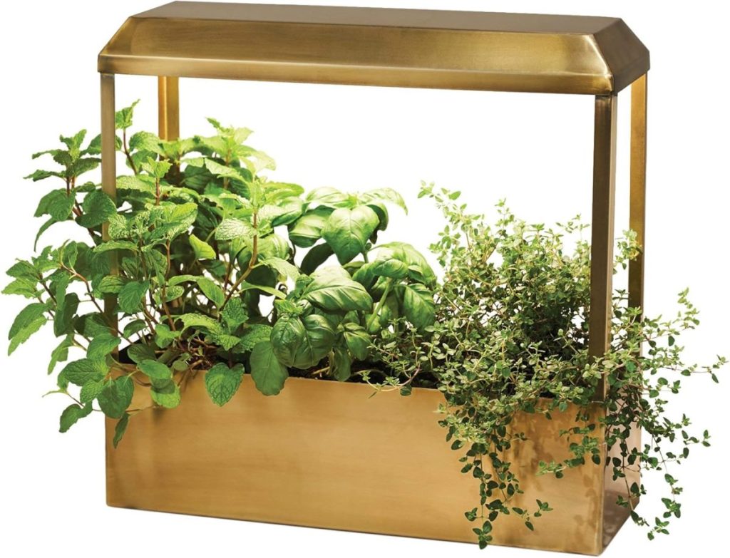 Gold rectangular planter with built-in grow light, featuring three green herbs&mdash;mint, basil, and thyme. Add home gardening to your list of Things To Do This Year with this stylish and practical accent.