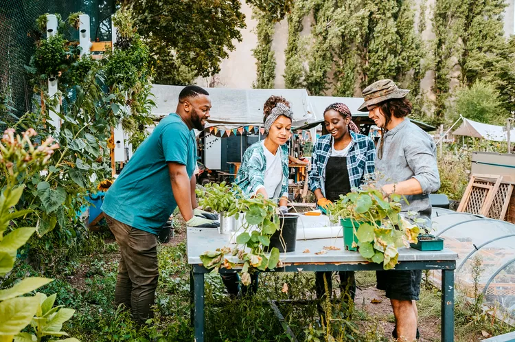 Four people stand around a table in a community garden, talking and working with plants on a sunny day, turning the space into an outdoor craft room filled with creativity and collaboration.