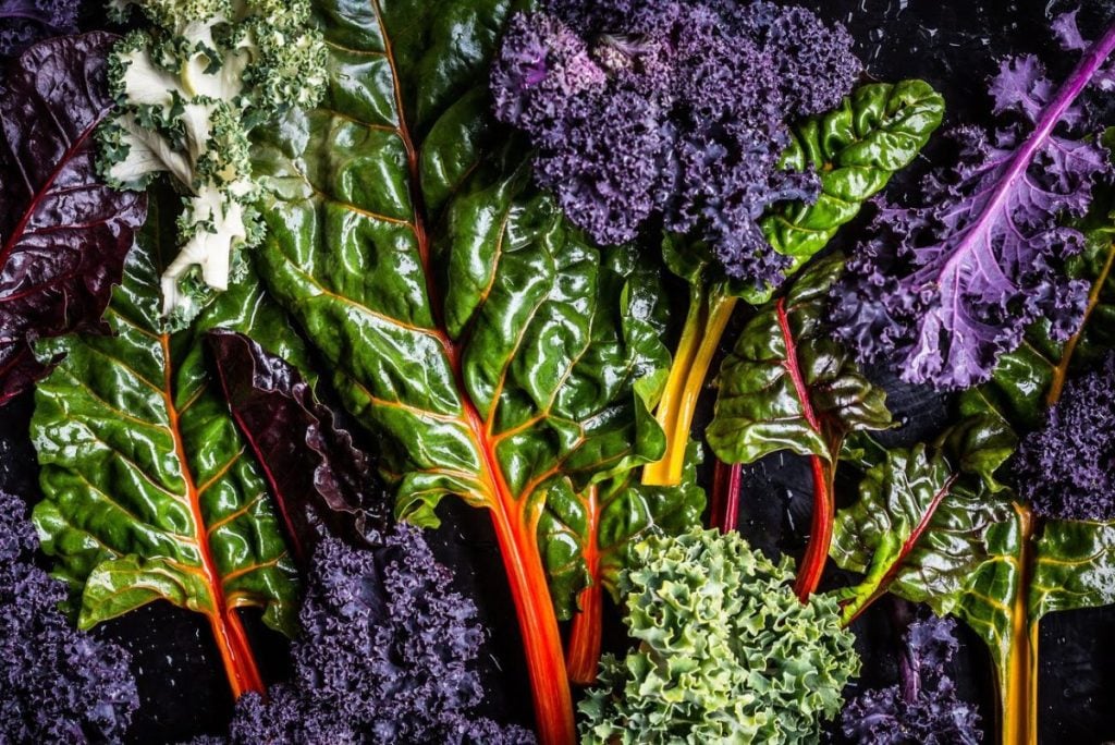 A close-up of colorful Swiss chard leaves with red and yellow stems, surrounded by curly green and purple kale leaves.