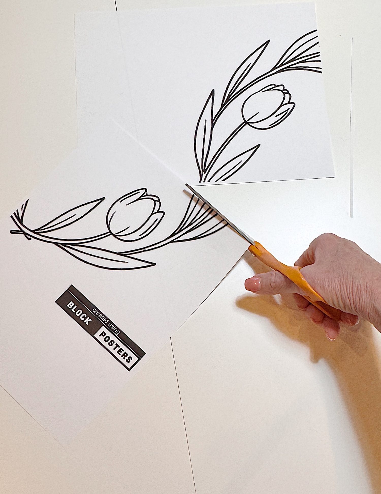A hand uses scissors to cut along the edge of a printed black and white floral line drawing on paper labeled &ldquo;BLOCK POSTERS.&rdquo;.