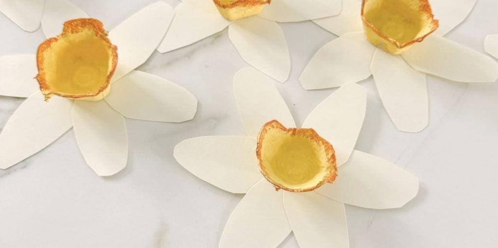 Handmade daffodil flowers made from white paper petals and yellow painted egg carton centers arranged on a white surface.