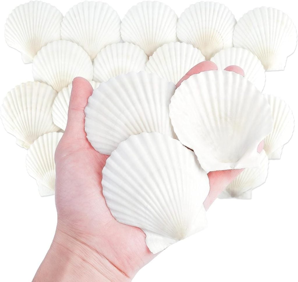 A hand holds three handpainted shells, each white scallop shell artfully decorated, with more similar shells arranged in the background.
