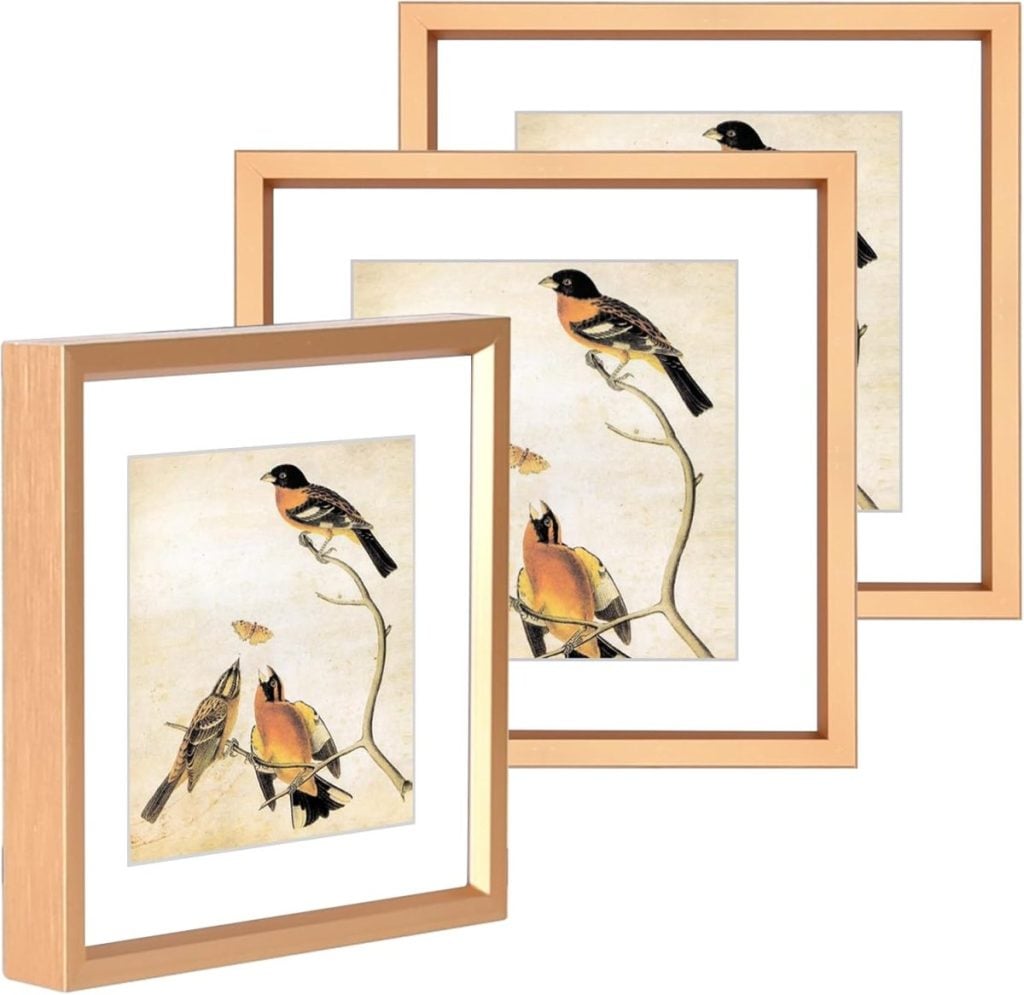 Three wooden frames each display artwork of birds perched on branches against a light background, arranged in a staggered formation.