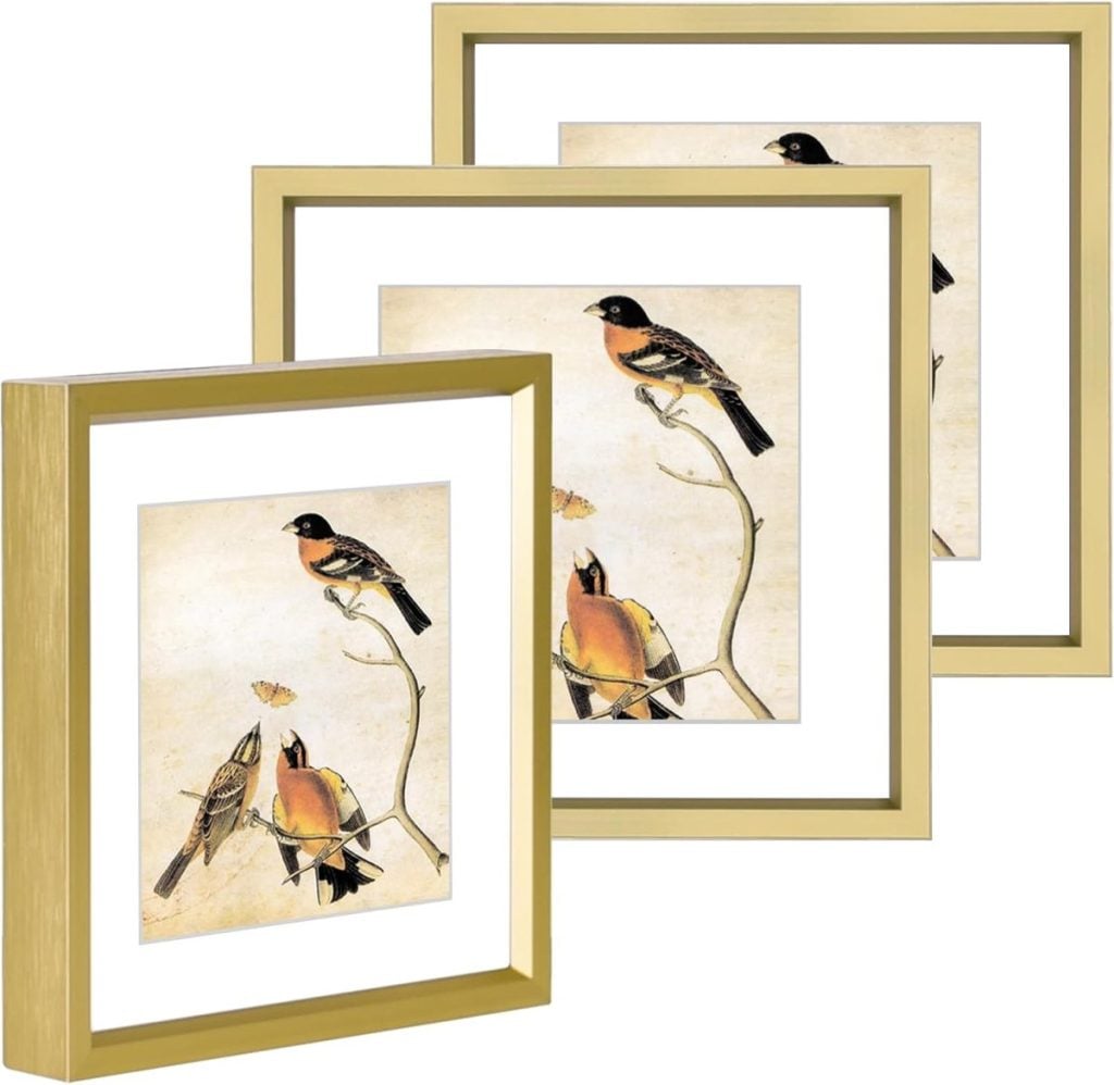 Three gold-framed pictures featuring illustrations of birds perched on branches against a beige background, arranged in a staggered row.