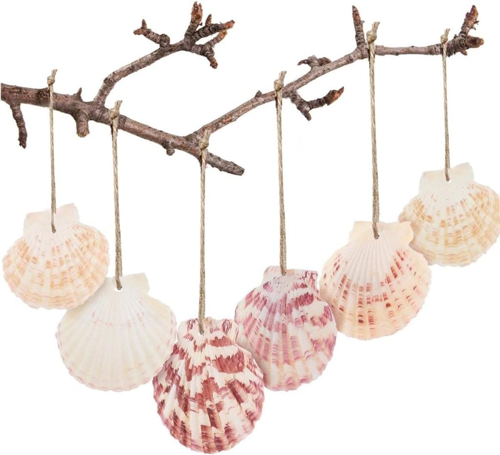 A twig with six handpainted shells hanging from it by pieces of string, each scallop shell varying in shades of white, pink, and orange.