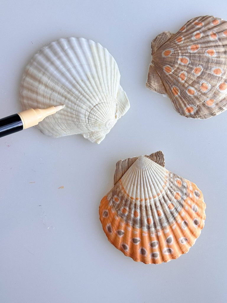 Three seashells are arranged on a white surface, with a marker pen touching the edge of a white shell. The other two shells have brown and orange patterns.