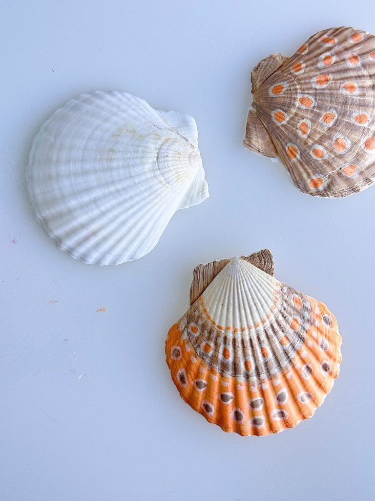 Three seashells on a white surface: one solid white, one orange with white spots, and one brown with orange and white spots.