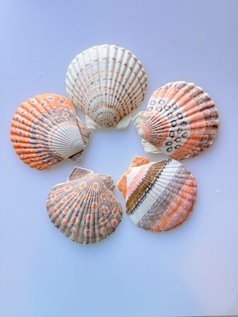 Five colorful seashells arranged in a circular pattern on a light background.
