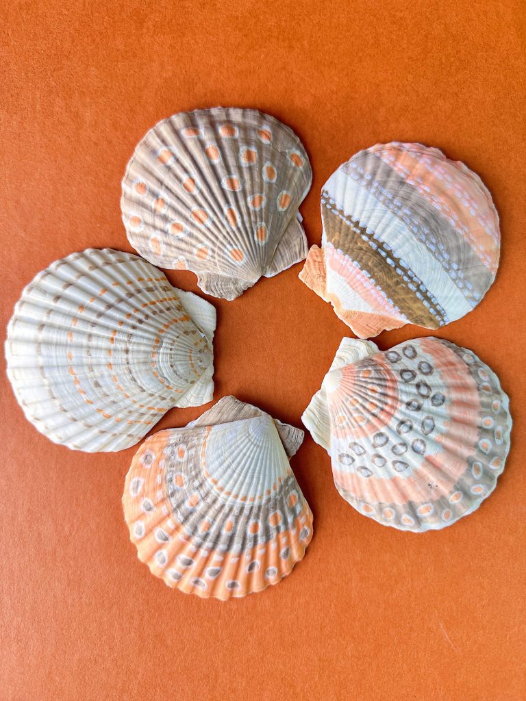 Five patterned seashells arranged in a circle on an orange background.