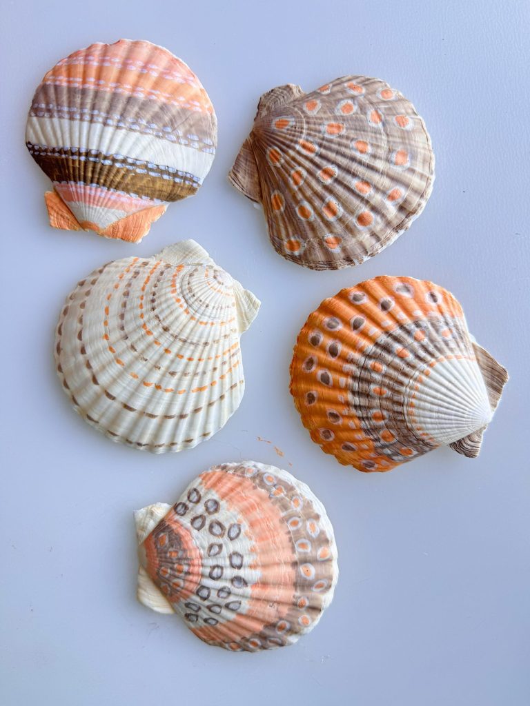 Five scallop seashells with varying patterns and shades of orange, brown, and white are arranged on a plain light background.