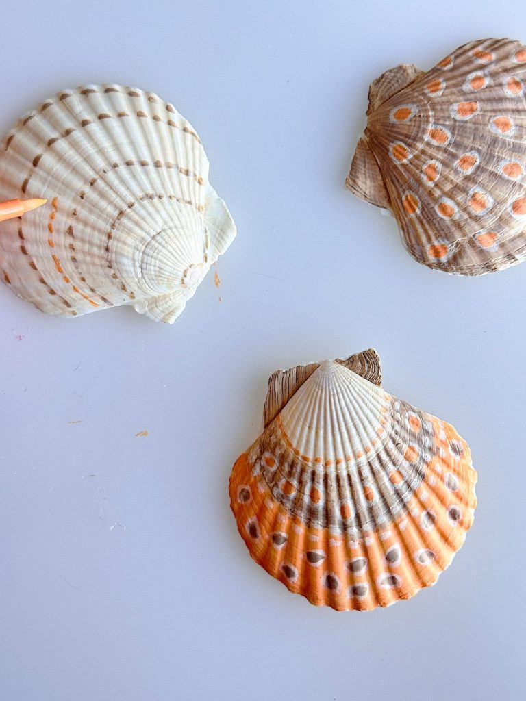 Three seashells of different shapes and colors—white, orange-striped, and orange-spotted—are arranged on a plain, light surface.
