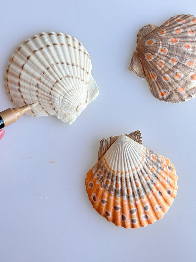 Three scallop seashells with different patterns and colors are arranged on a white surface; a hand holding a pen is near the left shell.