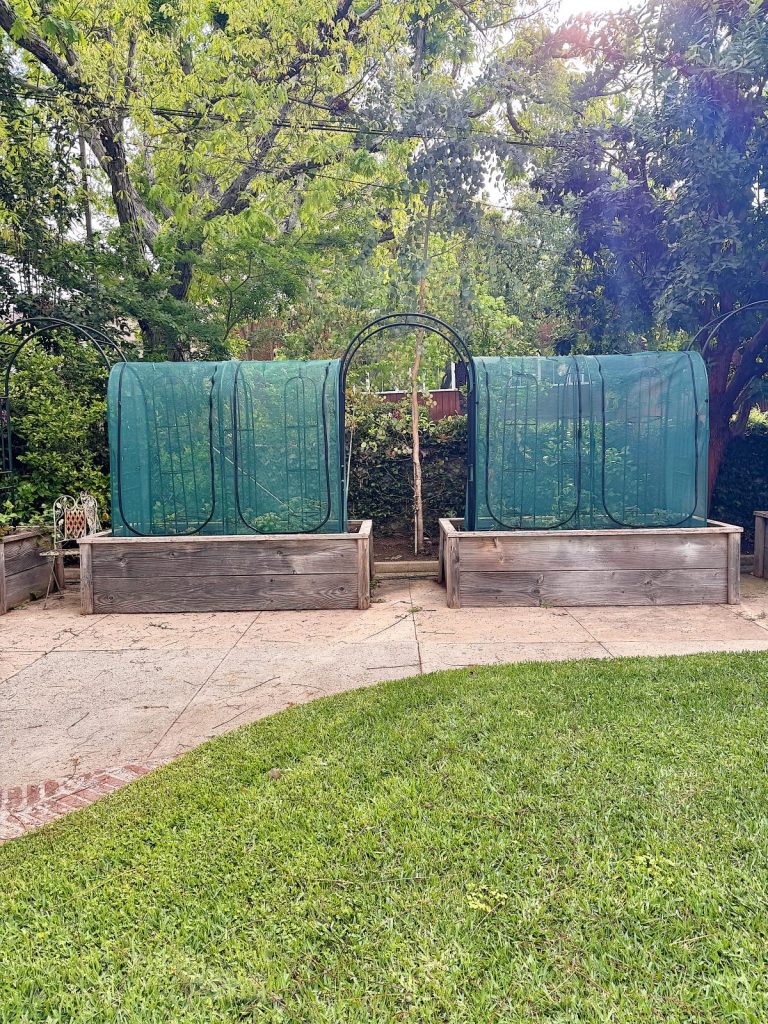 Two raised garden beds with green mesh covers stand on a paved area in a backyard, surrounded by grass and trees.