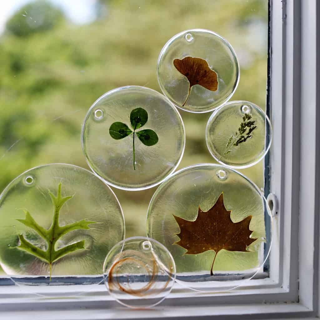 Clear resin circles with various leaves and plants embedded inside are displayed on a window, with a blurred green outdoor background visible.