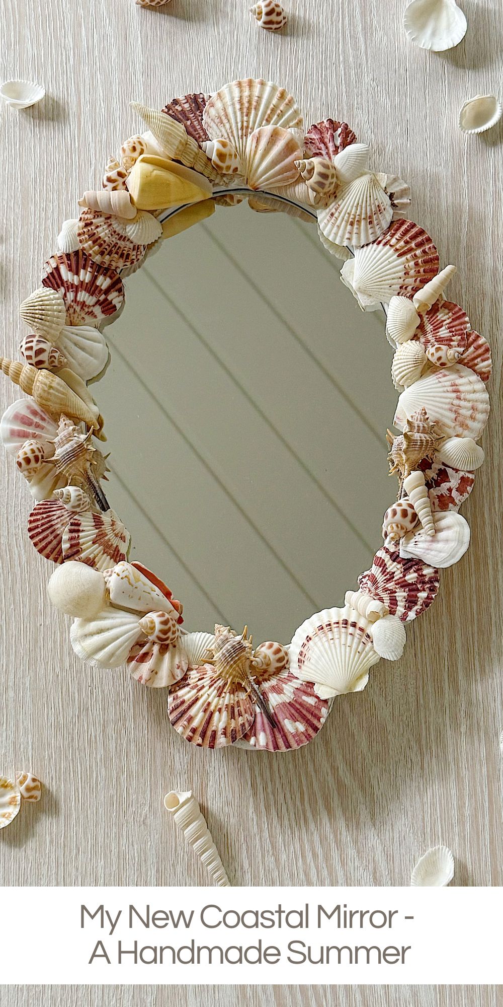 This coastal mirror is one of the easiest and most satisfying DIY projects I have created, transforming an inexpensive find into a beautiful, custom-looking coastal mirror with just paint, shells, and a glue gun.