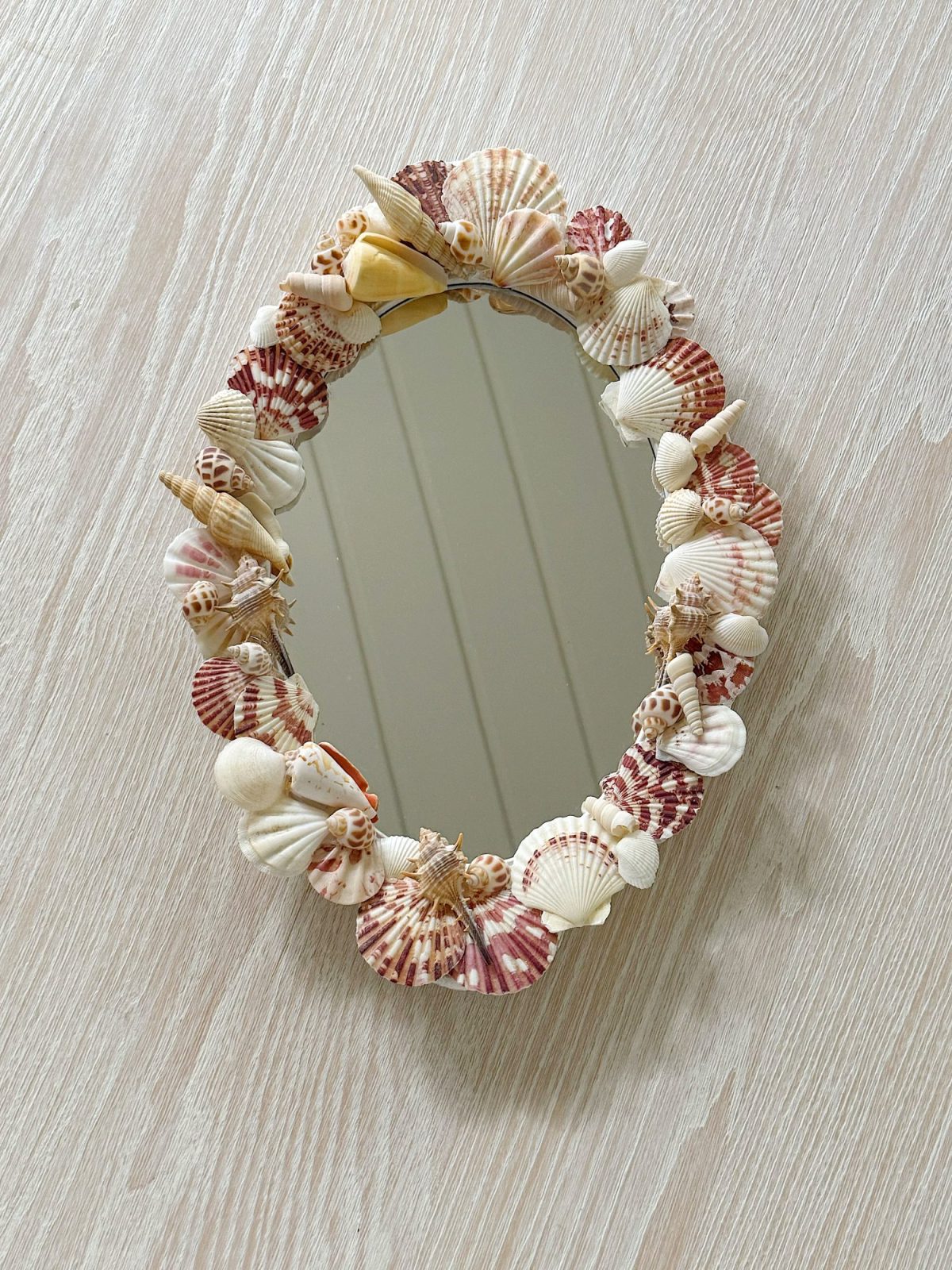 Oval mirror with a border made of assorted seashells, mounted on a light wood-textured wall.