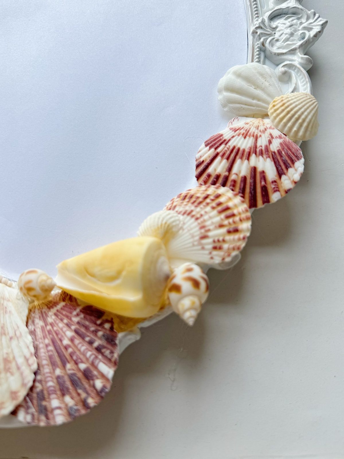 A close-up of a decorative white mirror frame adorned with various seashells, including scallop shells and spiral shells, on a white surface.