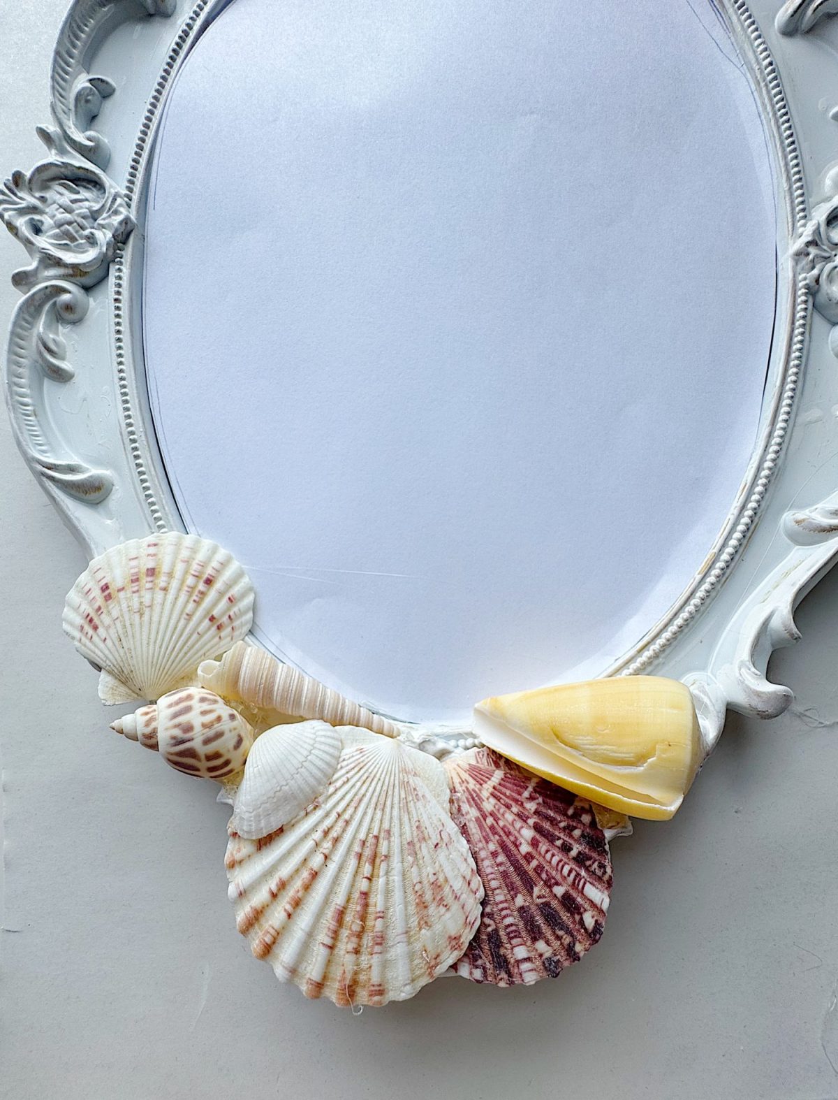 An ornate oval frame with decorative seashells attached at the bottom, placed against a plain white background.