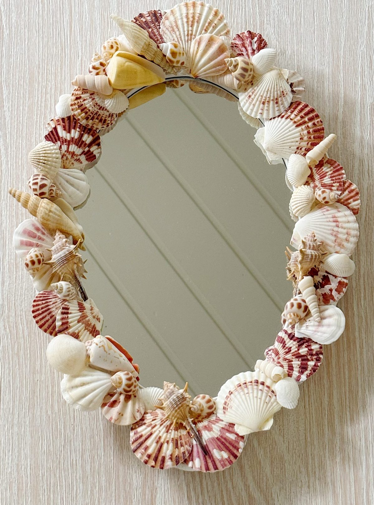 Oval mirror with a frame decorated with various seashells, mounted on a light wood-paneled wall.