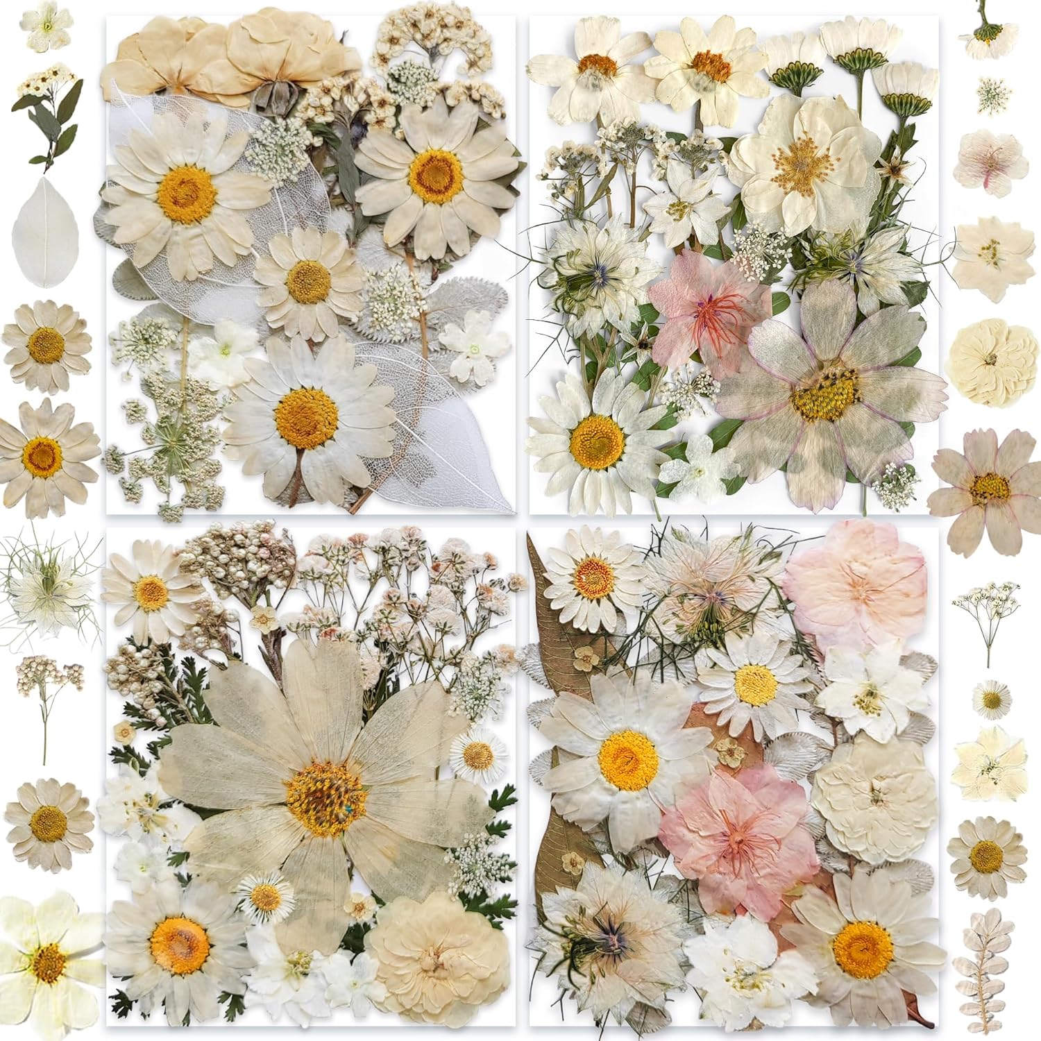 Four square arrangements of pressed flowers and leaves, featuring daisies and other blooms in white, yellow, and pastel tones, displayed on a crisp white background.