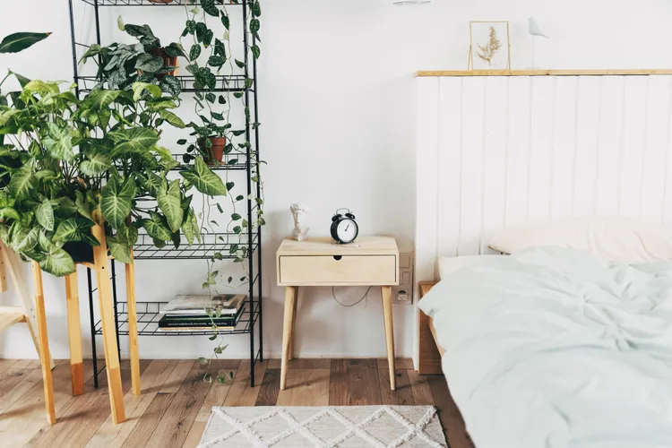 Minimalist bedroom with a wooden nightstand, alarm clock, and neatly made bed; potted plants on metal and wooden stands next to a white wall.